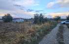 teren Cornetu Ilfov, strada Fagului - 1