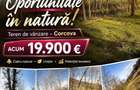 Teren forestier fag stejar veche 100 ani - 2