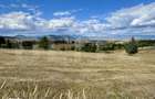 Teren de vanzare-ideal pentru cabane-langa partia de schi din Toplita