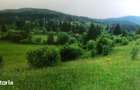 teren intravilan, in Izvoru Muresului, jud. Harghita, de 24000mp