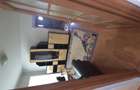 Apartament de Inchiriat Take Ionescu - 8