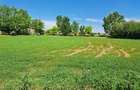 Casa de vanzare Valea Nucarilor (Tulcea) - 2000 mp teren - 4