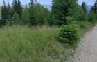 Vand teren intravilan Pojorata Bucovina, 15 e mp - 5