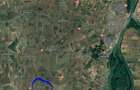 Vand URGENT teren intravilan Silistraru, Braila, negociabil - 1