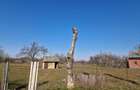 Teren intravilan, Suseni, sat Galesesti - 2