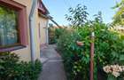 Vand casa 4 camere+anexe si teren in Corabia, Olt - 7