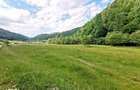 Zarnesti-Barsa Fierului-Teren 1.893 mp pentru Casa de vacan?a, A-frame - 9