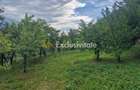 Teren intravilan 1400 mp - Albota ! - 5