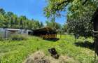 Casa La Tara | 6770Mp Teren | Josani | Bihor | - 14