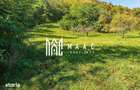 Teren | Intravilan | 2439 MPU | Fantanele - 6