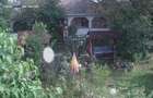 casa si teren in Perieti, Olt - 7