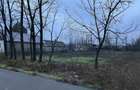 Teren intravilan 1700m2 24ml deschidere la strada astfalta , centru comuna Florica, jud.Buzau 1360 - 4