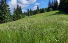 Teren intravilan situat in Predeal - 2