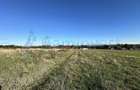 Parcele de vanzare in Cetariu,9 km de Oradea cu PUZ Gaminvest V3836 - 5