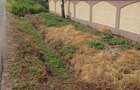 Casă cu Teren 1465 Mp în Dulceanca - 8