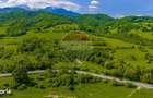 Teren 1ha Valea Glajeriei - Rasnov | Comision 0% - 3