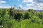 Teren intravilan de 2108 mp, cu casa, zona excelenta, Dambul Rotund - 9