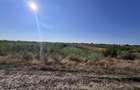 Teren intravilan, 4700 mp, dublu front stradal, la marginea Padurii Co - 4