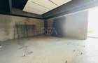 Spa?iu Comercial Stradal P+1 | 530 mp | Cranga?i Virt - 4