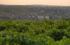 Teren 1600mp Vi?an - Str. Al. Macedonski Ideal Dezv/ Duplexuri / Bloc - 5