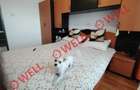 Apartament cu 3 camere de vanzare pe strada Stadionului! - 17