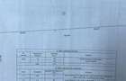 DE VANZARE Spatiu Comercial Str. Prelungirea Traian PRET 290.000 E Neg - 12