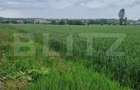Teren pentru casa intravilan , 800 mp deschidere la drum Bod - 4