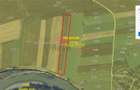 Reteag - Vanzare Terenuri + Padure - 5