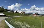 Vand Teren Intravilan Poiana Negrii jud Suceava (Bucovina)