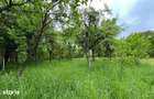 Viscri -Casa saseasca autentica in Viscri (UNESCO) | Oportunitate rara - 4