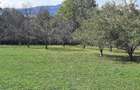 Teren de 1800 mp, în Breaza de Sus - 2
