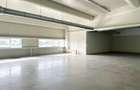 Spatiu industrial 700 mp de inchiriat in zona Oncea Oradea - 6
