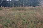 Teren intravilan de 1508 mp cu utilitati - Ianova - 3