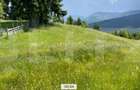 Teren Intravilan Colibita 1346mp cu Panorama asupra lacului Colibita