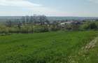 Vand pamant intravilan - 9