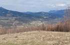 Teren extravilan in comuna Salciu, jude?ul Alba - 2