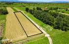 Teren intravilan,2.900mp,recomandat: investitional rezidentialconstruc - 7
