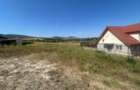 Teren Intravilan /Almas - 1