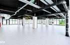 Spatiu Comercial Showroom 425mp Himson Aurel Vlaicu - 3