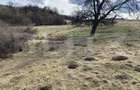 Teren extravilan in suprafata de 7500 mp la poalele Mesesulu - 4