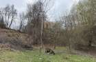 EXCLUSIVITATE Teren cu Autorizatie de Construire in Feleac | - 6