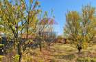 Teren Intravilan | 500 Mp | Toate Utilitatile | Harman