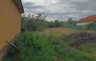 teren intravilan Petrovaselo, Recas - 6