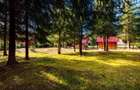 Cabane cu 10 camere Arieseni - 4