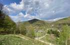 Teren vedere panoramica lac Paltinu si dealuri impadurite in Valea Dof - 10
