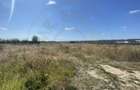 Teren zona Magic Trivale intravilan 1040 mp - 5