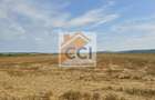 Teren intravilan 50.000 mp, Bacau, Soseaua Hol - 11