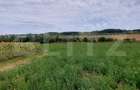 De vanzare teren Fundatura 27500mp - intravilan - 3
