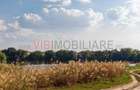 Casa cu 4 camere intabulata in ansamblu cu iesire la lac - Crevedia - 6