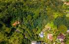 Teren 3.886 mp, Breaza - Podu Vadului, 30 m deschidere la asfalt
